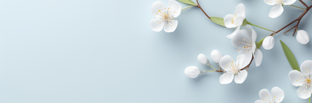 Minimal Yaşam Tarzı ile Hayatı Sadeleştirmek