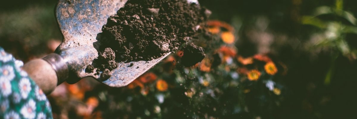 Evde Kompost Yapımı Organik Atıklarınızı Değerlendirin