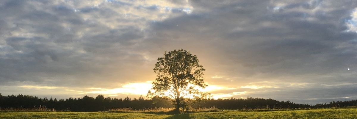 Anlamlı Bir Yaşam Nasıl İnşa Edilir