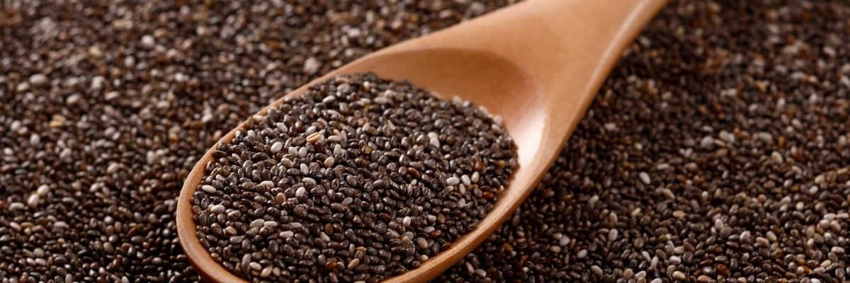 Yerli Tohum Nedir, Neden Korunmalı