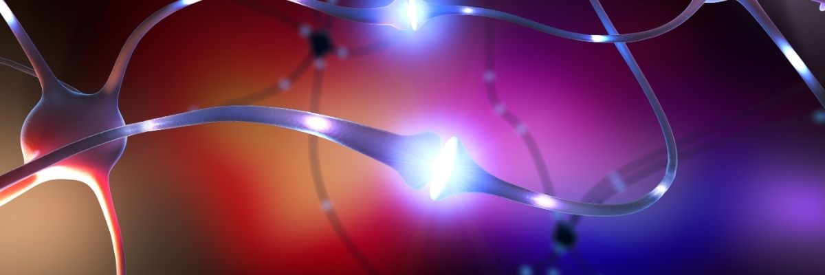 Dopamin Detoksu Rehberi