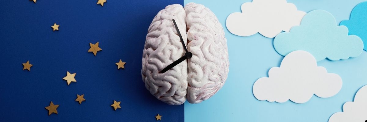 Sirkadiyen Ritim Biyolojik Saatinizi Düzenleyerek Enerjinizi Katlayın